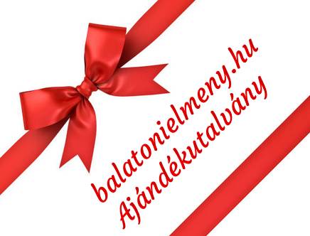 Balatoni vitorlázás ajándékutalvány - Vitorlás bérlés